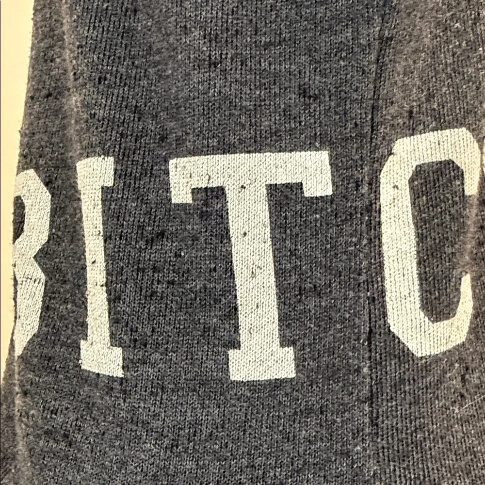 WILDFOX charcoal grey zip hoodie - Picture 13 of 16